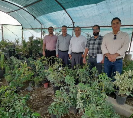 حضور اساتید محترم و همکاران بزرگوار دفتر امور شهری و شوراهای استانداری فارس در شهر قره‌بلاغ